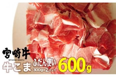 宮崎牛 こま 300g×2【肉 牛肉 国産 黒毛和牛 肉質等級4等級以上 4等級 5等級 牛丼 炒め物 肉じゃが】