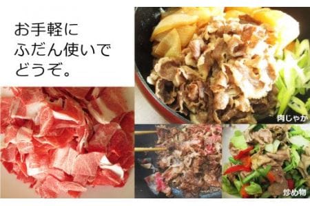 宮崎牛 こま 300g×2【肉 牛肉 国産 黒毛和牛 肉質等級4等級以上 4等級 5等級 牛丼 炒め物 肉じゃが】