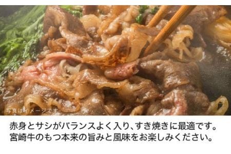 宮崎牛 霜降り スライス 500g【すき焼き 肉 牛肉 国産 黒毛和牛 肉質等級4等級以上 4等級 5等級 しゃぶしゃぶ 鍋】