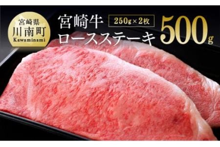 宮崎牛 ロースステーキ 500g (250g×2枚)【肉 牛肉 黒毛和牛 国産牛肉 九州産牛肉 宮崎県産牛肉 ロース ステーキ A4ランク牛肉 4等級牛肉 肉質等級4等級以上の牛肉 ギフト 贈答 牛肉 500g 牛 ロースステーキ 送料無料牛肉】