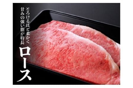 宮崎牛 ロースステーキ 500g (250g×2枚)【肉 牛肉 黒毛和牛 国産牛肉 九州産牛肉 宮崎県産牛肉 ロース ステーキ A4ランク牛肉 4等級牛肉 肉質等級4等級以上の牛肉 ギフト 贈答 牛肉 500g 牛 ロースステーキ 送料無料牛肉】