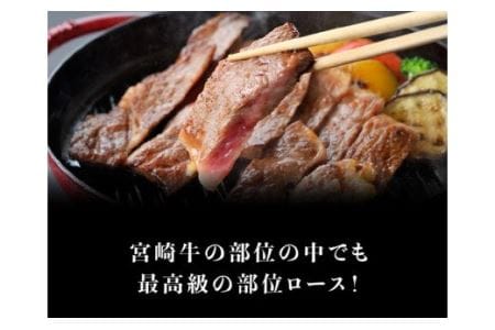 宮崎牛 ロースステーキ 500g (250g×2枚)【肉 牛肉 黒毛和牛 国産牛肉 九州産牛肉 宮崎県産牛肉 ロース ステーキ A4ランク牛肉 4等級牛肉 肉質等級4等級以上の牛肉 ギフト 贈答 牛肉 500g 牛 ロースステーキ 送料無料牛肉】