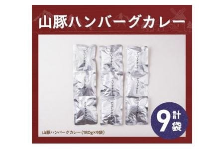 きじょん山豚 ハンバーグカレー 9食分(180g×9袋)【肉 豚肉 加工品 惣菜