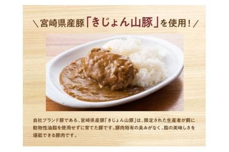 きじょん山豚 ハンバーグカレー 9食分(180g×9袋)【肉 豚肉 加工品 惣菜 レトルト惣菜 宮崎県産惣菜ブランド豚 おかず ハンバーグ カレーライス 簡単調理惣菜】