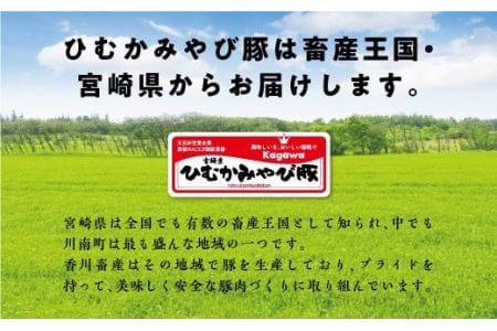 第56回天皇杯受賞企業「香川畜産」豚肉食べ比べセット1,100g - 肉 豚肉 国産豚肉 九州産豚肉 宮崎県産豚肉 とんかつ 豚しゃぶ 焼肉 バラエティ セット 焼きしゃぶ 毎日豚肉 BBQ