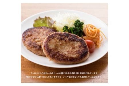 きじょん山豚 ハンバーグ 30個【肉 豚肉 加工品 惣菜 宮崎県産惣菜ブランド豚惣菜 おかず ポークハンバーグ 焼くだけ 簡単調理 たっぷり 大容量惣菜】