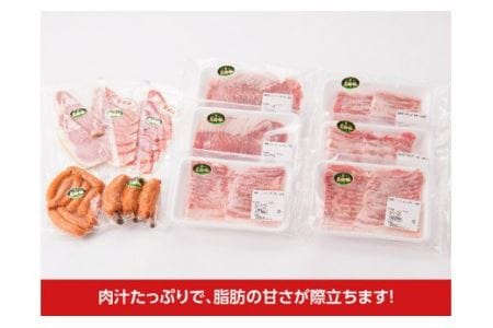 尾鈴豚 豚肉こだわりセット【肉 豚肉 国産豚肉 九州産豚肉 宮崎県産豚肉 豚しゃぶ 焼肉 バラエティ豚肉 セット豚肉】