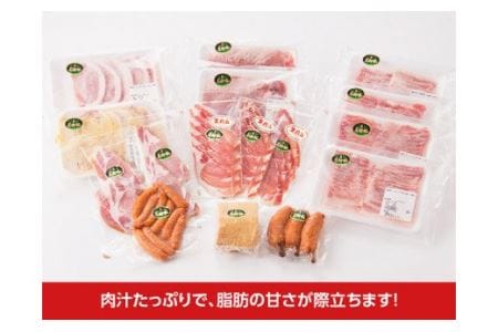 毎日満腹食べれます!尾鈴豚 豚肉セット【肉 豚 豚肉 国産豚肉 九州産豚肉 宮崎県産豚肉 豚しゃぶ  焼肉 とんかつ バラエティ 豚肉セット 送料無料 】