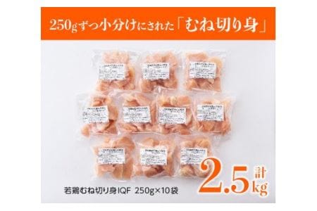 【定期便】宮崎県産鶏肉むね肉切身2.5kg(250g×10袋)3ヶ月定期便 - 国産鶏肉九州産鶏肉鶏肉若鶏肉とりムネ肉小分け鶏肉カット済み鶏肉全3回鶏肉