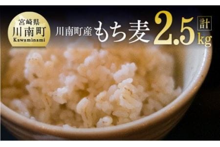 令和5年産 もち麦 2.5kg（500g×5袋）【国産 麦 もち麦 食物繊維】