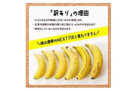 【訳あり】国産バナナ1kg（10本～13本程度）【国産 バナナ 無農薬 フルーツ 果物 デザート 朝食 スムージー 訳あり】