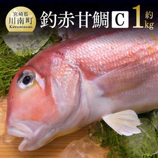 『釣赤甘鯛 C』 【魚 魚介 魚介類 鮮魚 さかな 日向灘 魚介 魚介類 赤甘鯛 九州 宮崎 川南町 新鮮 魚介 海の幸  魚介類 甘鯛 たい 送料無料 魚介 魚介類】