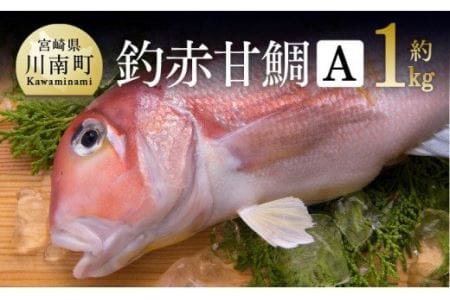 『釣赤甘鯛 Ａ』【鮮魚 さかな 九州 宮崎 川南町 新鮮 魚介 海の幸  魚介類 たい】