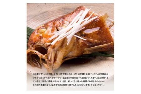 『釣赤甘鯛 Ａ』【鮮魚 さかな 九州 宮崎 川南町 新鮮 魚介 海の幸  魚介類 たい】
