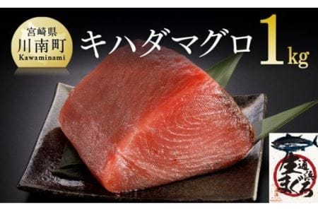 漁協直送！キハダマグロブロック（生）1kg【鮪 刺身 マグロ 漬け 新鮮 冷蔵 海の幸】