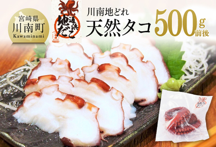 漁協直送！天然タコ（湯がき済）小分けで500g前後 【 海鮮 真たこ 刺身 マリネ 魚介 九州 宮崎 川南 地どれたこ 】