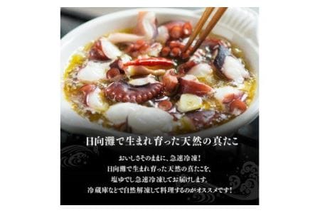 漁協直送！天然タコ（湯がき済）小分けで500g前後 【 海鮮 真たこ 刺身 マリネ 魚介 九州 宮崎 川南 地どれたこ 】