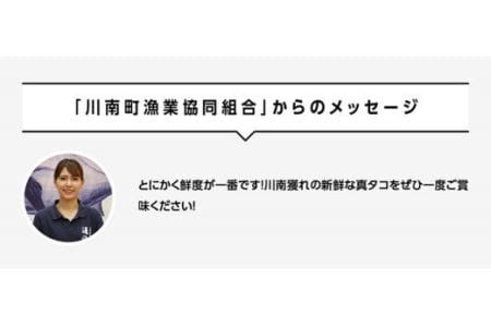 漁協直送！天然タコ（湯がき済）小分けで500g前後 【 海鮮 真たこ 刺身 マリネ 魚介 九州 宮崎 川南 地どれたこ 】