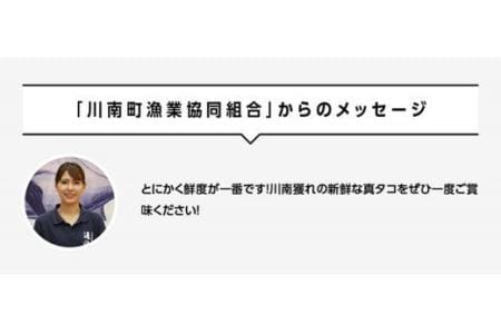 漁協直送！天然タコ（湯がき済）小分け たこ