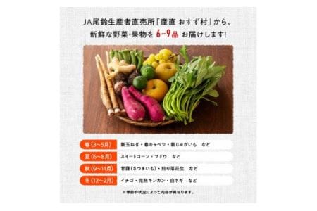 産直　おすず村　厳選詰め合わせセット（小） 【 旬野菜 フルーツ 直売所 産地直送 宮崎県産 】