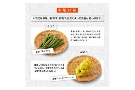産直　おすず村　厳選詰め合わせセット（小） 【 旬野菜 フルーツ 直売所 産地直送 宮崎県産 】