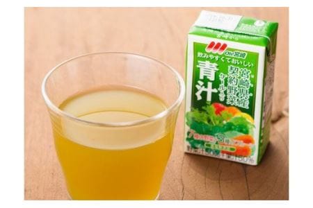 【定期便】宮崎青汁 125ml×48本セット 3ケ月定期便【野菜飲料 健康飲料 ケール やさい 健康 美容 全3回】