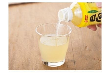 サンA日向夏ドリンク280ml×24本セット【日向夏 果汁飲料 フルーツジュース ペットボトル 宮崎】