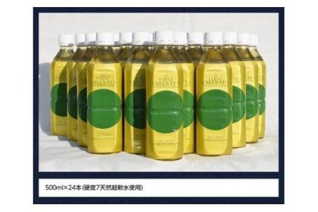 The FIRST GREEN TEA(500ml×24本)【お茶 緑茶 飲料お茶 プリンスホテル 九州お茶 宮崎お茶 備蓄お茶 川南町】