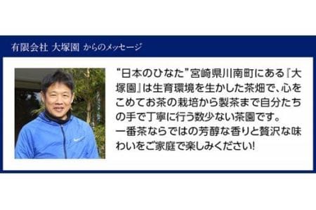 The FIRST GREEN TEA(500ml×24本)【お茶 緑茶 飲料お茶 プリンスホテル 九州お茶 宮崎お茶 備蓄お茶 川南町】