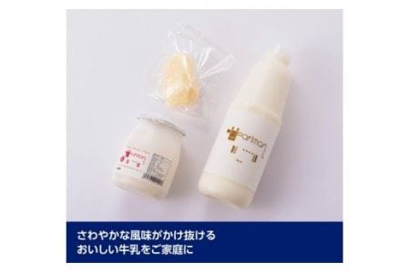 川南のさわやかな風セット【 アリマン 乳製品 乳 加工品 牛乳 ヨーグルト バター 乳 】 