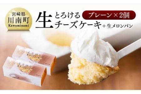 『押川春月堂本店』とろける生チーズケーキ(プレーン2個)【スイーツ ケーキ チーズケーキ 洋菓子ケーキ スプーンでケーキ おまけつきケーキ】