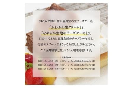 【定期便】とろける生チーズケーキ（プレーン・チョコ）+メロンパン ３ヶ月定期便【スイーツ ケーキ チーズケーキ チョコ 洋菓子ケーキ スプーンでケーキ  おまけつきケーキ 全3回】