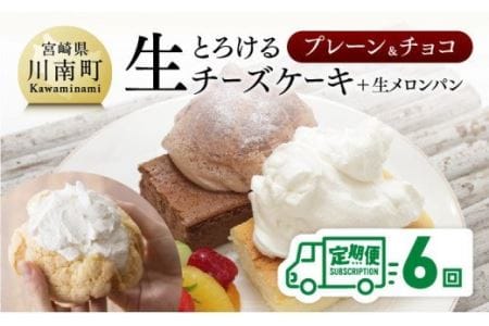ふるさと納税 宮崎県 川南町 とろける生チーズケーキ（プレーン・チョコ）+メロンパン ふるさと納税\u203bレビューキャンペーン\u203b『押川春月堂本店』とろける生