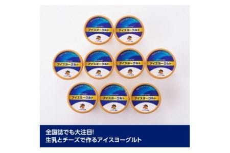 アイスヨーグルトセット 【 アリマン 菓子 デザート 詰め合わせ アイス ヨーグルト 】 