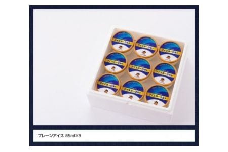アイスヨーグルトセット 【 アリマン 菓子 デザート 詰め合わせ アイス ヨーグルト 】 