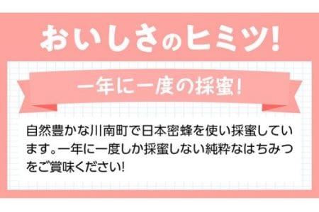 はちみつ（百花蜜）1kg【蜂蜜 国産 はちみつ 九州産 宮崎県産 川南町産】