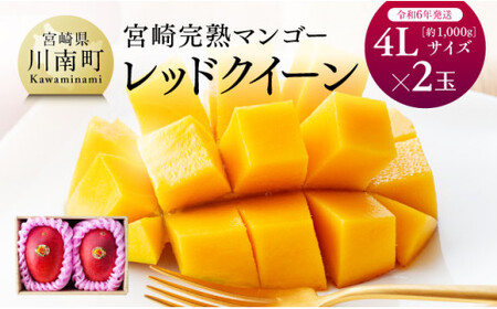 令和６年発送 】 宮崎県産完熟マンゴー 「 レッドクイーン 」 4L×2玉