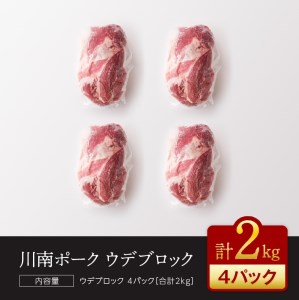 『川南ポーク』豚肉ウデブロック 2㎏【肉 豚 豚肉 国産豚肉 九州産豚肉 宮崎県産豚肉 豚肉 うで肉 ブロック豚肉 かたまり 送料無料 豚肉】