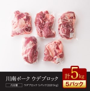 『川南ポーク』豚肉ウデブロック 5㎏【 国産 豚肉 九州産 豚肉 宮崎県産 豚肉 豚肉 もも肉 豚肉 ブロック  豚肉 たっぷり 豚肉 大容量 豚肉 おうちご飯 豚肉 和食 豚肉 洋食 豚肉 中華 豚肉 煮込み 豚肉 送料無料 豚肉 】