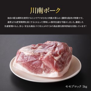 『川南ポーク』豚肉モモブロック 5㎏【国産 九州産 宮崎県産 豚肉 もも肉 ブロック たっぷり 大容量】