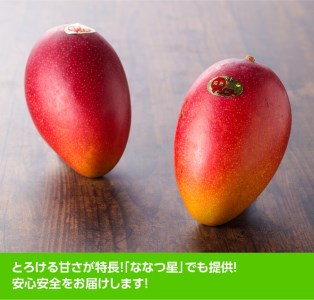 【令和7年発送】宮崎県産完熟マンゴー「おひさまハニーマンゴー」2L（小）×3玉 【 期間限定 数量限定 果物 フルーツ マンゴー 宮崎県産 完熟マンゴー みやざきマンゴー 】