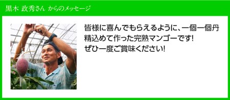 【令和7年発送】宮崎県産完熟マンゴー「おひさまハニーマンゴー」2L（小）×3玉 【 期間限定 数量限定 果物 フルーツ マンゴー 宮崎県産 完熟マンゴー みやざきマンゴー 】