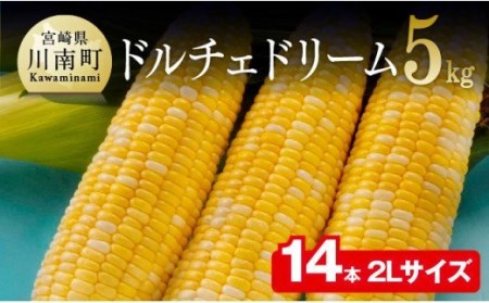 2024年発送 朝どれ！ 守部さんちのドルチェドリーム 2Lサイズ (５kg)【 先行予約 数量限定 期間限定 とうもろこし スイートコーン トウモロコシ スィートコーン 令和6年発送 】