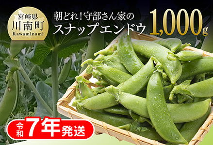 【令和7年発送】朝どれ！守部さん家のスナップエンドウ2.0kg【 野菜 宮崎県産 エンドウ豆 えんどう豆 おつまみ 2025年発送 】