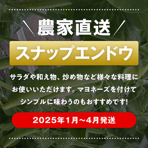 【令和7年発送】朝どれ！守部さん家のスナップエンドウ2.0kg【 野菜 宮崎県産 エンドウ豆 えんどう豆 おつまみ 2025年発送 】