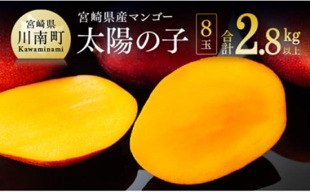 6/30○02 宮崎マンゴー○Lサイズ8玉○チルド発送○2.5kg以上！