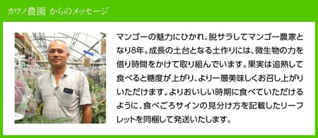 【令和7年発送】宮崎県産完熟マンゴー「果実の宝石」 L×2玉 【 果物 フルーツ マンゴー 宮崎県産 みやざきマンゴー 先行予約 数量限定 期間限定 】