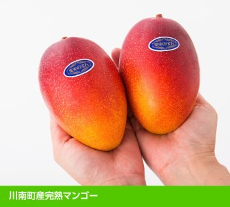 【令和7年発送】宮崎県産完熟マンゴー「果実の宝石」　2L×3玉 【 果物 フルーツ マンゴー 宮崎県産 みやざきマンゴー 先行予約 数量限定 期間限定 】