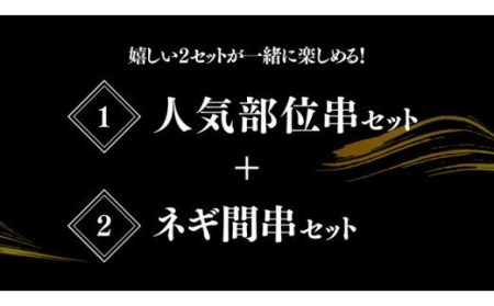 【３ヶ月定期便】 焼き鳥人気部位串＆ネギ間串セット 計５４本 【肉 鶏肉 国産鶏肉 九州産鶏肉 宮崎県産鶏肉 若鶏 焼鳥 やきとり BBQ バーベキュー 鶏肉】