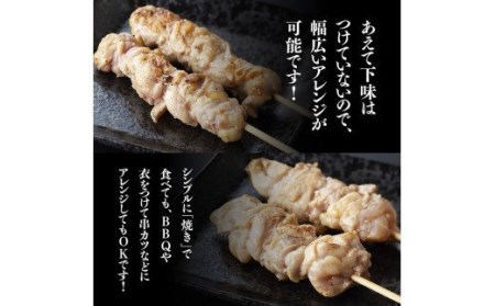 【３ヶ月定期便】焼き鳥人気部位串計４８本　肉 鶏肉 国産鶏肉 九州産鶏肉 宮崎県産鶏肉 若鶏焼鳥 やきとり BBQ バーベキュー 鶏肉